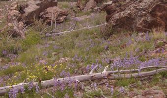 3434 Davis Ranch Rd, Bellvue, CO 80512