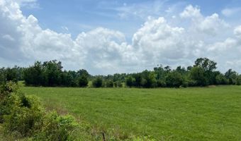420 Sheffield Rd, Adamsville, TN 38310