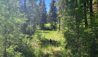 671 W Mountain Rd, Cascade, ID 83611