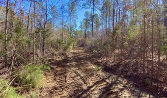 Adams Road - 1 & 2, Bankston, AL 35542