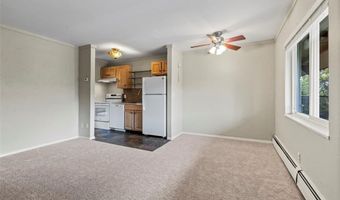 301 N FRENCH St 303, Breckenridge, CO 80424
