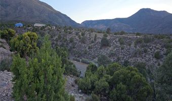 Bugling Bull Road, Cold Creek, NV 89124