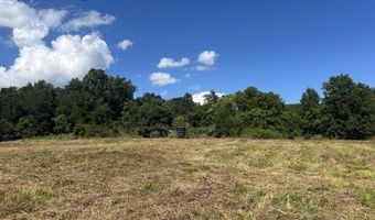 001 Farr Rd, Bolton, MS 39041