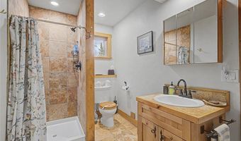 62 Lazy Rex Rd, Alma, CO 80440