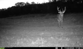 425 Rose Hill Rd, Bentonia, MS 39040
