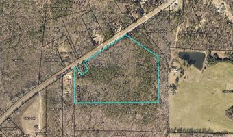 29 75 Acres US Hwy 80, Knoxville, GA 31050