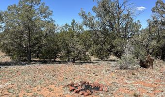 462 Un Named Rd, Ash Fork, AZ 86320
