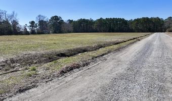 Creek Place Road, Arapahoe, NC 28510