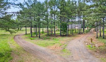 11905 E Old Bellville Rd, Belleville, AR 72824