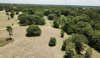 1402 W 12th St, Alma, GA 31510