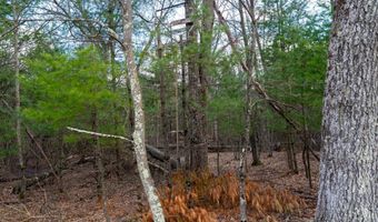 255 45 Ac Dover Dr, Adams, WI 53910