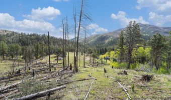 5959 Stove Prairie Rd, Bellvue, CO 80512