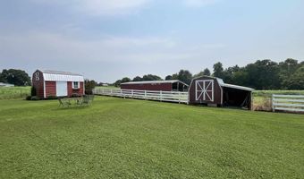 970 Ross Raines, Albertville, AL 35951
