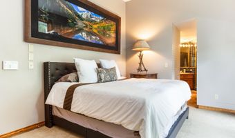 60 Elk Track Ct, Beaver Creek, CO 81620