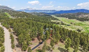 163 Old Corral Rd, Bailey, CO 80421