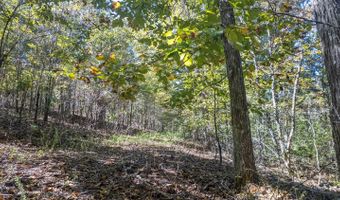 County Road 204, Alton, MO 65606