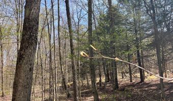 106 Road, Alma, NY 14708