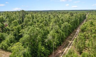 10367 NW County Road 274, Altha, FL 32421