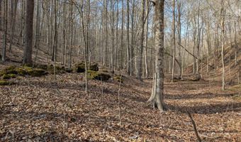 9999 Tip Top Rd, Beattyville, KY 41311