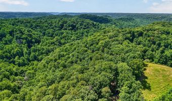 2926 Bryant Ridge Rd, Baxter, TN 38544