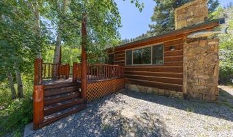 209 Deer Path Ln, Almont, CO 81230