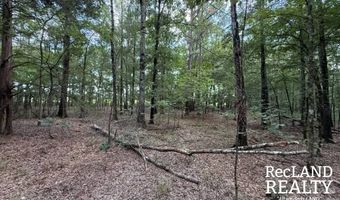 TBD-0 Yeldell Rd, Bastrop, LA 71220