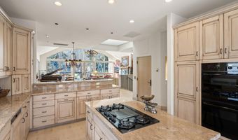 990 E Hopkins Ave, Aspen, CO 81611