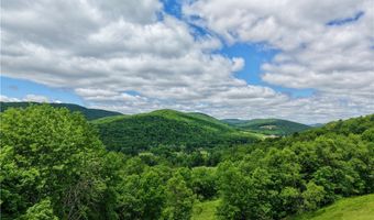 240 Dowie Rd, Andes, NY 13731