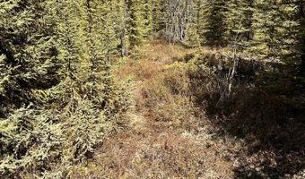 B005 Packsaddle Road, Chickaloon, AK 99674