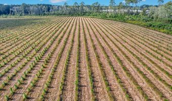 2000-4 Sellers Rd NW, Baxley, GA 31513