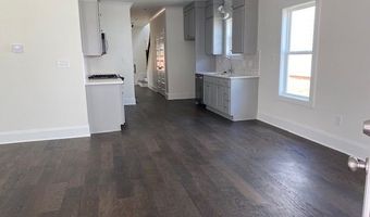 667 Oglethorpe, Athens, GA 30606