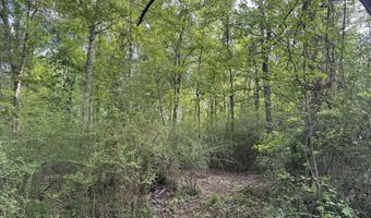 1311 N Jackson St, Brookhaven, MS 39601
