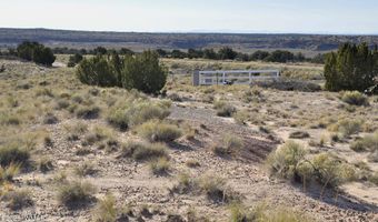 623 C Lazy S Ranch Rd, Concho, AZ 85924