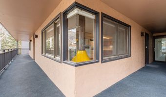 700 S Monarch St 207, Aspen, CO 81611