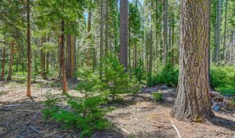 11 Timber Trail Ct, Arnold, CA 95223