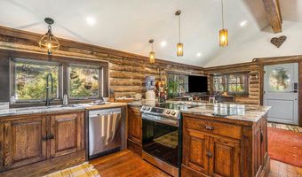 1087 Highway 7 Bus Rte, Allenspark, CO 80510