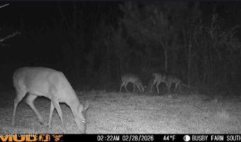 U.S. Highway 51, Bogue Chitto, MS 39629