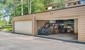 155 Lone Pine Rd /River Bluff C2, Aspen, CO 81611