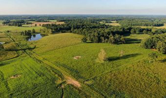 Tract 5 Farm Road 1200, Aurora, MO 65605