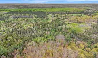 10516 Munger Rd, Afton, MI 49705