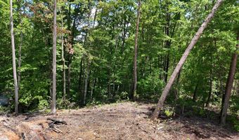 Lot 45 Bayside Boulevard, Bean Station, TN 37708