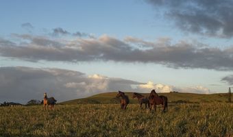 56-2929 PUAKEA BAY Dr, Hawi, HI 96719