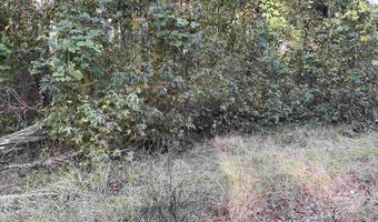 3551 Moonlight Rd, Barnwell, SC 29853