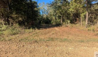 CR 4234, De Kalb, TX 75559