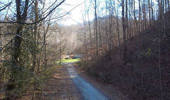 14001 Ridgeview Nellis Rd, Ashford, WV 25142