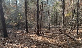 2423 Mill Creek Rd, Bethune, SC 29009