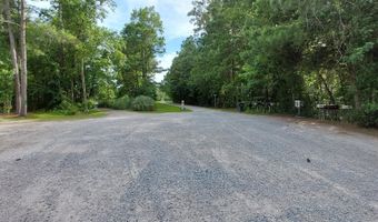 1099 Hardison Lee Farm Rd Lot 11, Arapahoe, NC 28510
