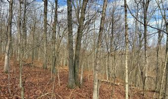 Farm Rd 1187 Lc, Ash Grove, MO 65604