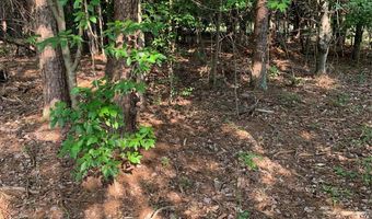 Rock House Road, Blacksburg, SC 29702