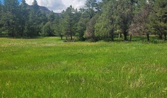28111 County Rd 41.4, Aguilar, CO 81020